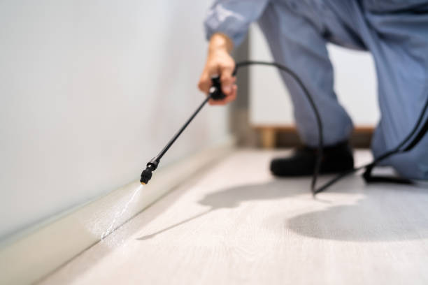 Licensed Cockroach Control service in Ina, IL - Nex Pest Control