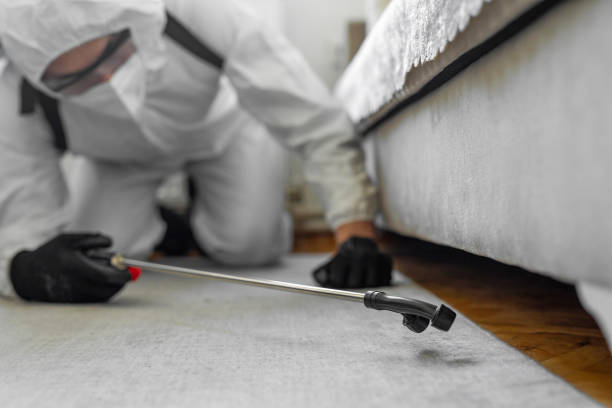 Professional Cockroach Control technician working in Ina, IL