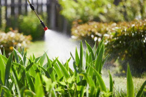 24/7 Emergency Cockroach Control experts in Ina, IL