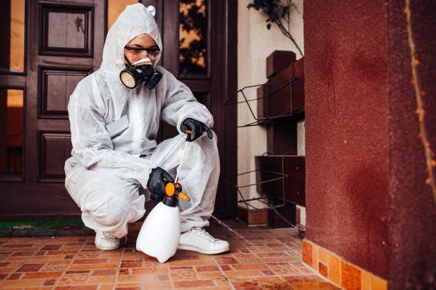 Reliable Cockroach Control contractor in Ina, IL by Nex Pest Control