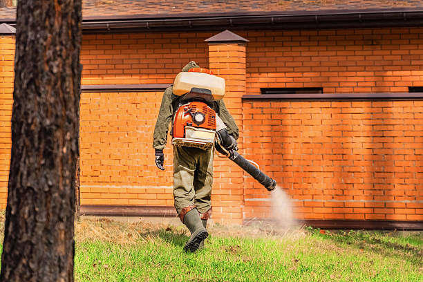 Top rated local Cockroach Control specialists in Ina, IL